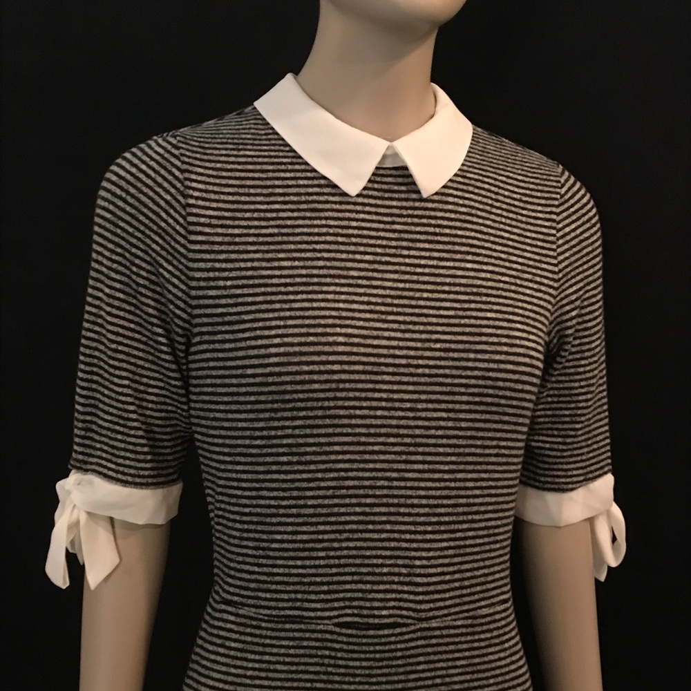 Striped Monteau Black Gray White Collared Dress